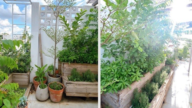 Vợ chồng 'hô biến' sân thượng thành góc 'cà phê tại gia' xanh mát