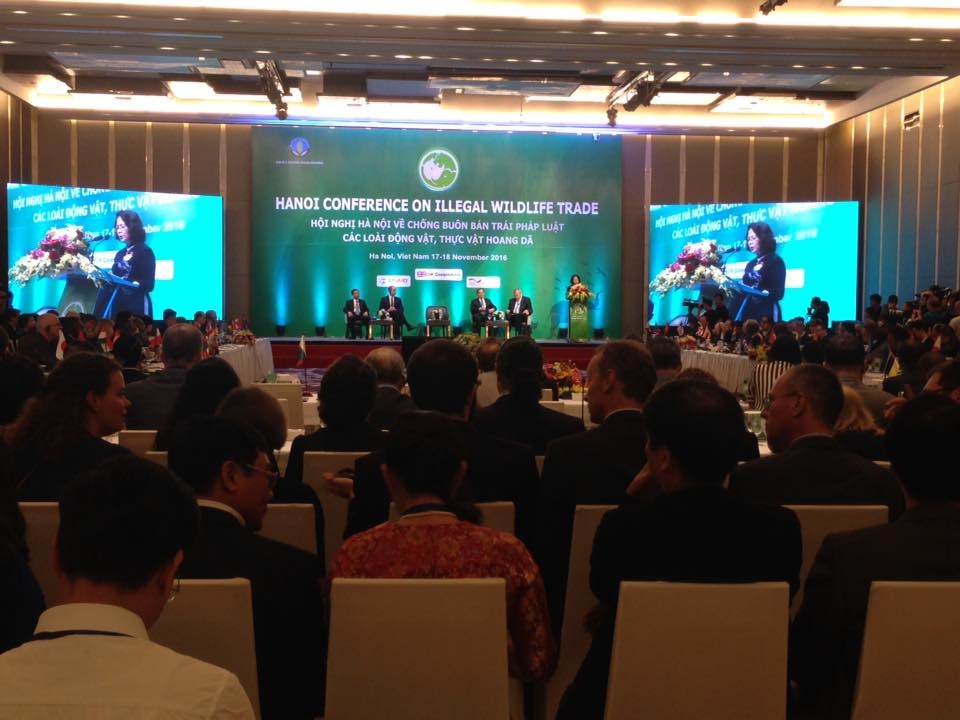 hoat dong buon ban trai phep dong thuc vat dien bien phuc tap