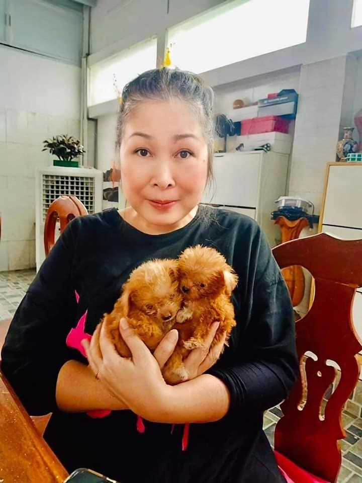 Sao Việt: Hồ Ngọc Hà đầy quyền lực và lôi cuốn