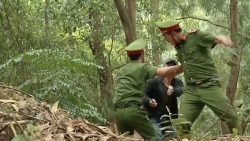 Phố trong làng tập 29: Hiếu bị đánh trọng thương vì cứu người đẹp, Đông đỡ cho Nam một đòn chí mạng