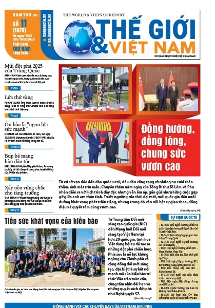 Số 11-2025