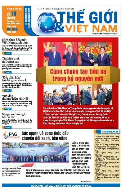 Số 16-2025