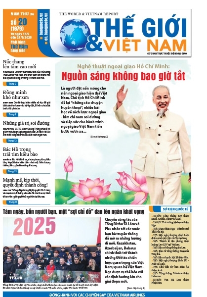 Số 20-2025