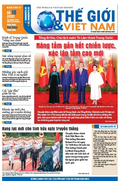 Số 16-2026