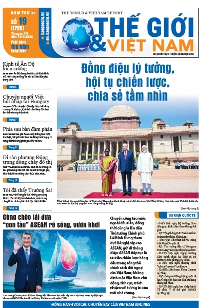 Số 19-2026