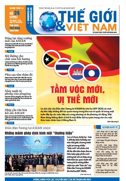 Số 24-2026