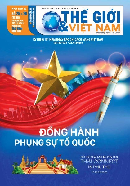 Số 25+25-2026