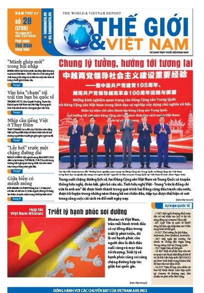 Số 28-2026