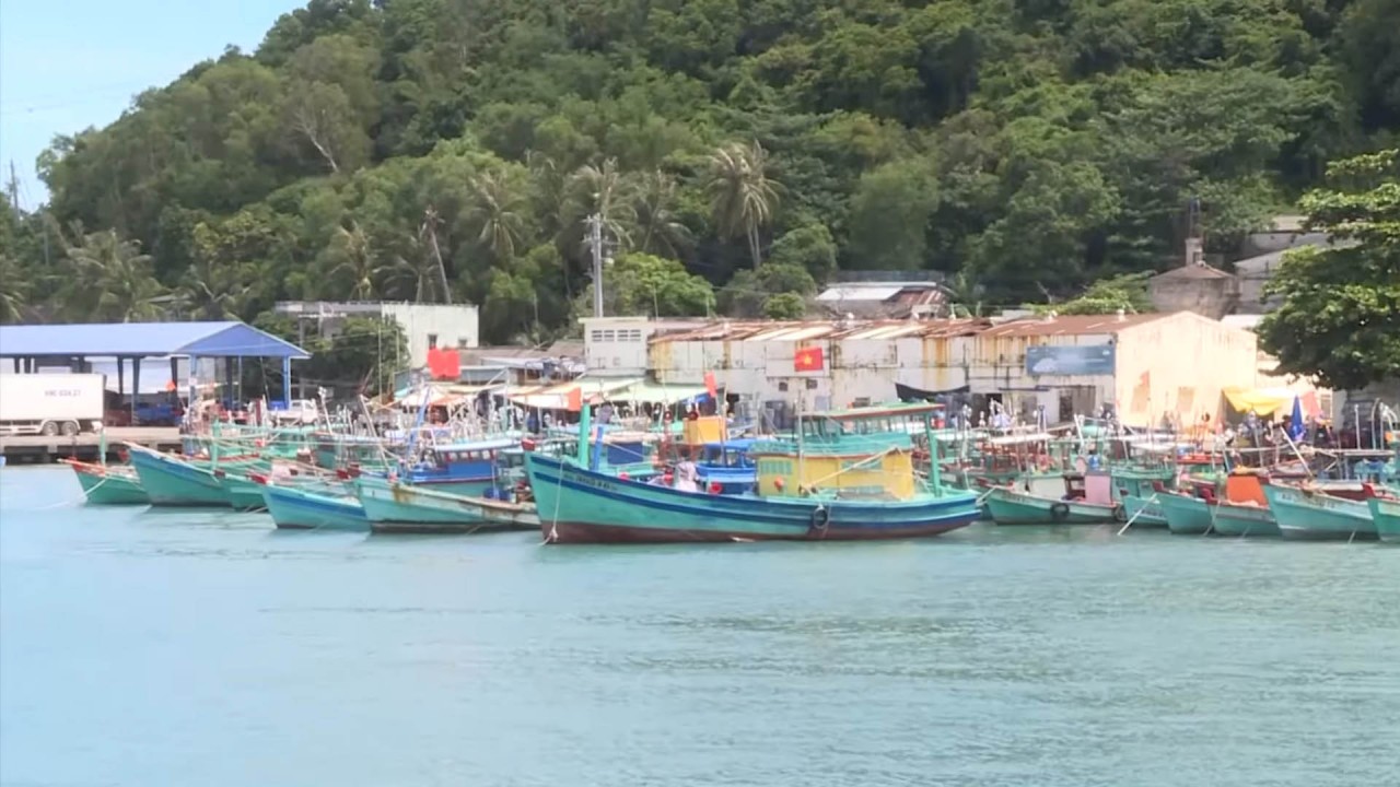 Phóng sự: Việt Nam nỗ lực tháo gỡ thẻ vàng EC