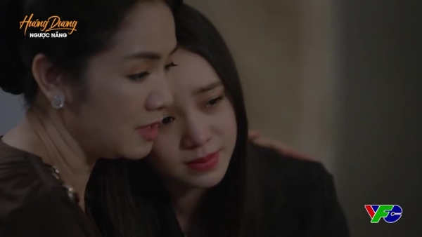 Hướng dương ngược nắng tập 42: Bà Bạch Cúc phơi bày dòng máu của Minh và Trí, ông Phan đột quỵ, Trí nghe được lời thú nhận của Minh