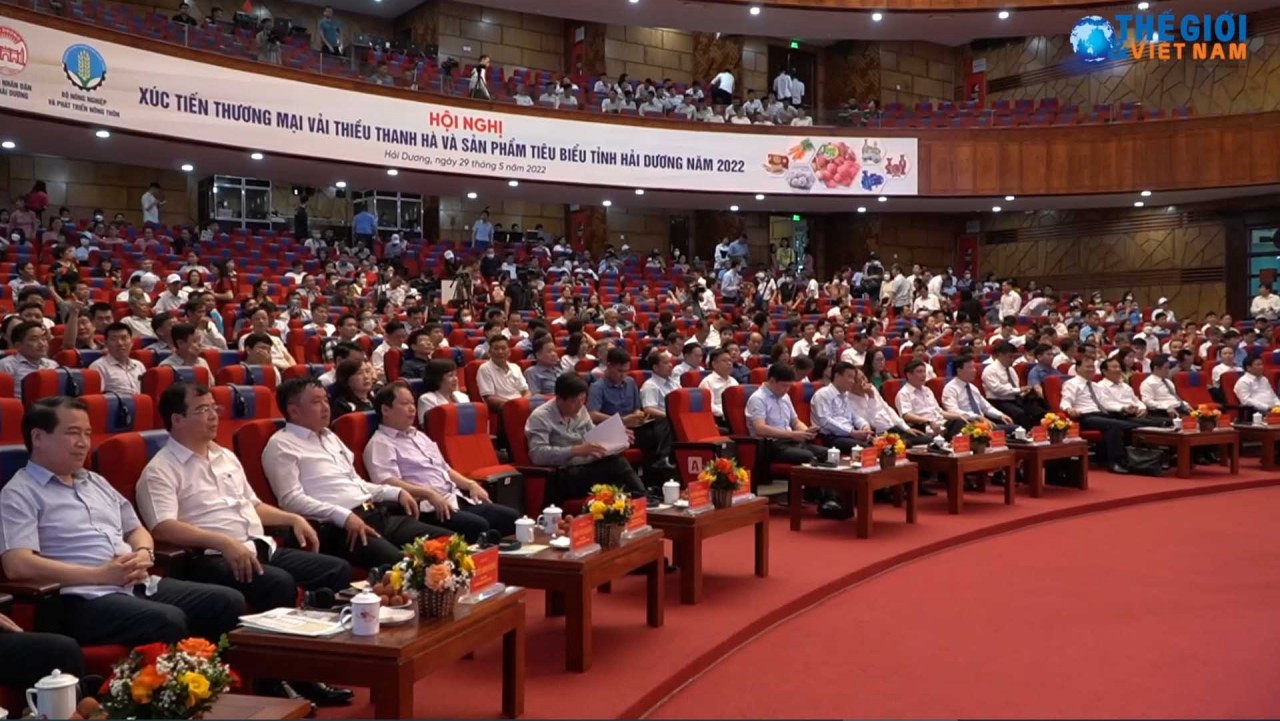 Vải thiều Thanh Hà - Hải Dương được người tiêu dùng trên thế giới đón nhận