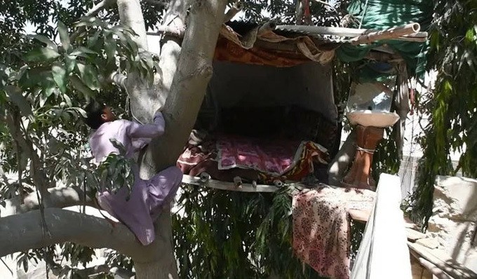 Pakistan: Anh thanh niên dựng ngôi nhà trên cây làm chỗ ở