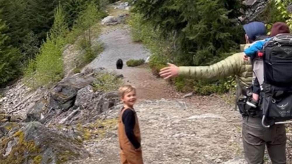 Gia đình 5 thành viên gặp gấu đen Bắc Mỹ trong chuyến đi bộ đường dài ở Canada
